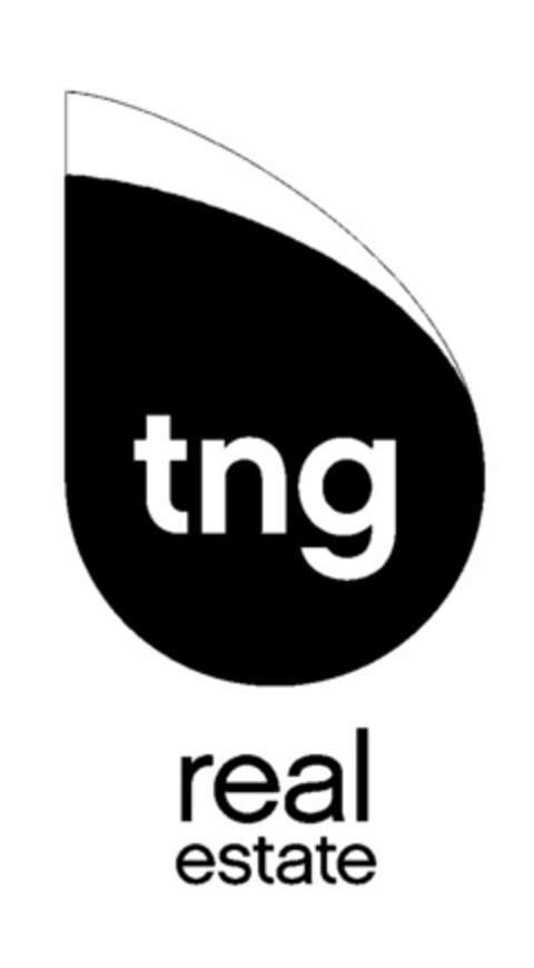 TNG REAL ESTATE Logo (USPTO, 19.02.2013)