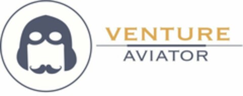 VENTURE AVIATOR Logo (USPTO, 18.04.2013)