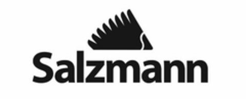 SALZMANN Logo (USPTO, 13.02.2017)