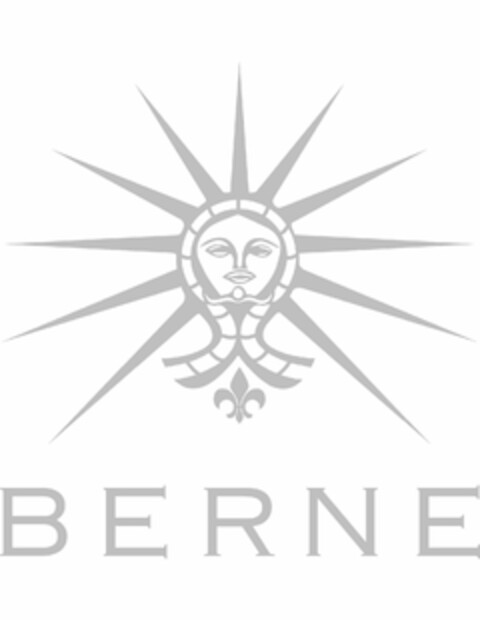 BERNE Logo (USPTO, 25.07.2019)