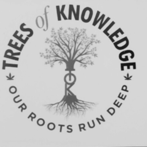 TOK TREES OF KNOWLEDGE Logo (USPTO, 08.11.2019)