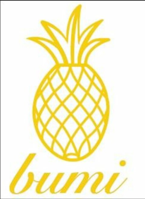 BUMI Logo (USPTO, 02.08.2010)