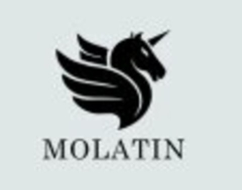 MOLATIN Logo (USPTO, 12.06.2016)
