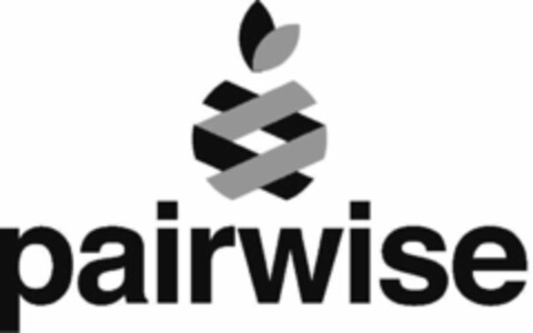 PAIRWISE Logo (USPTO, 04/20/2020)