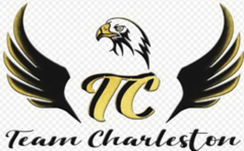 TEAM CHARLESTON Logo (USPTO, 09/10/2020)