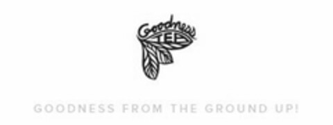 GOODNESS TEA GOODNESS FROM THE GROUND UP Logo (USPTO, 01.11.2016)