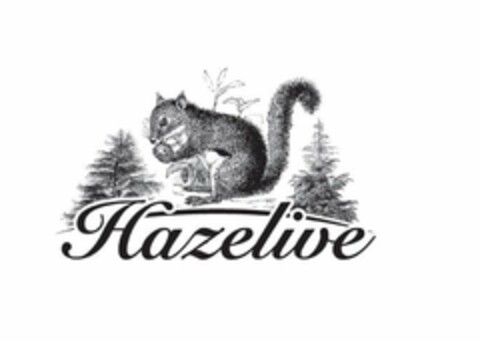 HAZELIVE Logo (USPTO, 27.06.2017)