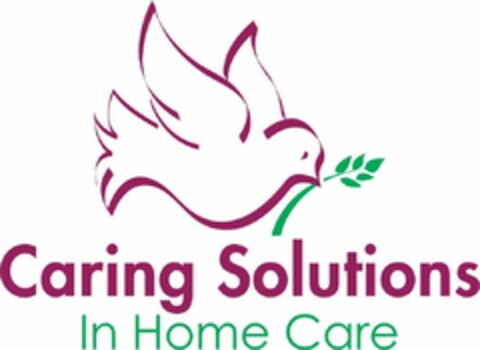 CARING SOLUTIONS IN HOME CARE Logo (USPTO, 03.07.2018)