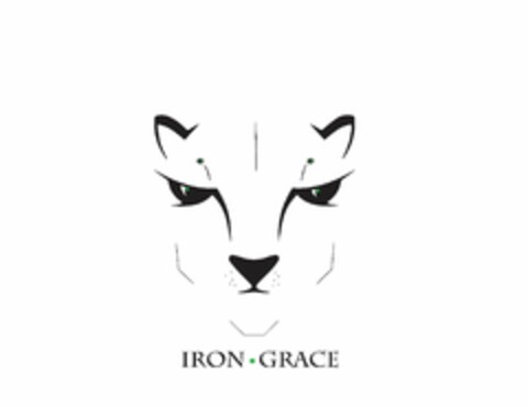 IRON GRACE Logo (USPTO, 07/11/2019)