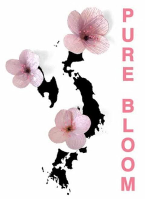 PURE BLOOM Logo (USPTO, 23.12.2019)