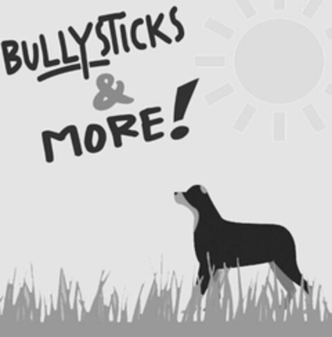 BULLYSTICKS & MORE Logo (USPTO, 20.05.2020)