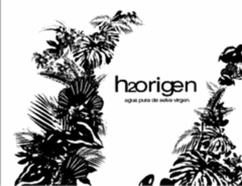 H2ORIGEN AGUA PURA DE SELVA VIRGEN Logo (USPTO, 01.04.2009)