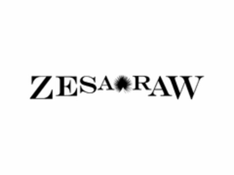 ZESA RAW Logo (USPTO, 31.07.2013)