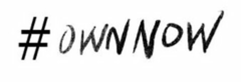 OWNNOW Logo (USPTO, 29.10.2013)