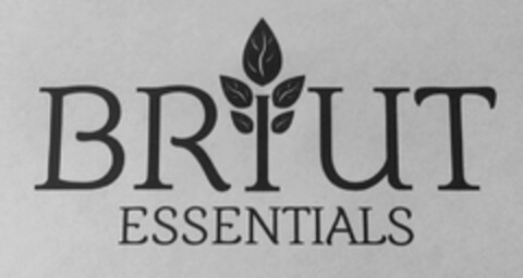 BRIUT ESSENTIALS Logo (USPTO, 17.04.2017)