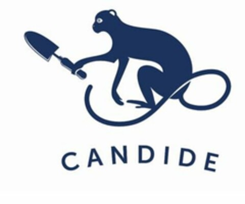 CANDIDE Logo (USPTO, 05/04/2017)