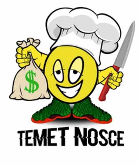 TEMET NOSCE Logo (USPTO, 08.06.2017)