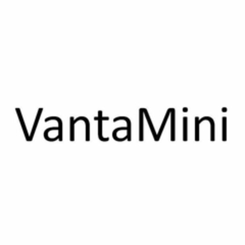 VANTAMINI Logo (USPTO, 13.08.2020)