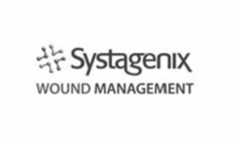 SYSTAGENIX WOUND MANAGEMENT Logo (USPTO, 03/19/2009)