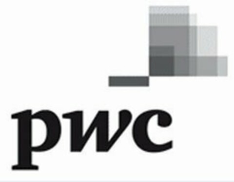 PWC Logo (USPTO, 08.07.2010)