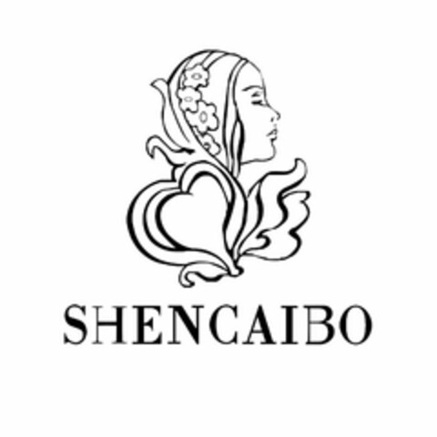 SHENCAIBO Logo (USPTO, 01.03.2017)