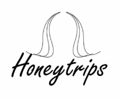 HONEYTRIPS Logo (USPTO, 30.03.2020)