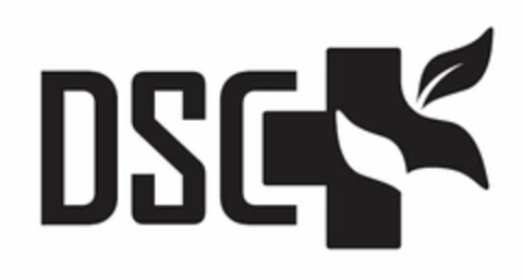 DSC Logo (USPTO, 26.02.2015)