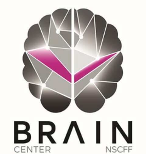 BRAIN CENTER NSCFF Logo (USPTO, 08/02/2017)