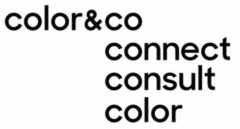 COLOR&CO CONNECT CONSULT COLOR Logo (USPTO, 10.07.2018)