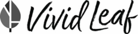 VIVID LEAF Logo (USPTO, 09/02/2019)