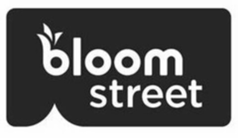 BLOOM STREET Logo (USPTO, 18.11.2019)