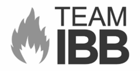 TEAM IBB Logo (USPTO, 17.03.2020)