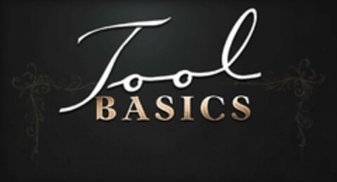 TOOL BASICS Logo (USPTO, 26.05.2011)