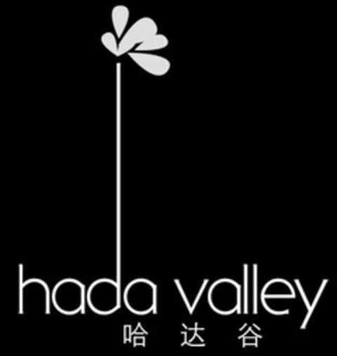 HADA VALLEY Logo (USPTO, 03.04.2017)