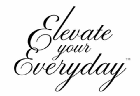 ELEVATE YOUR EVERYDAY Logo (USPTO, 14.01.2013)