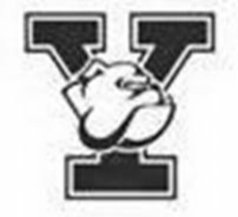 Y Logo (USPTO, 05/15/2013)