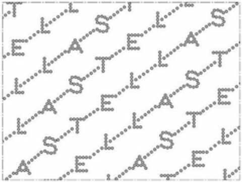 S T E L L A Logo (USPTO, 27.09.2018)