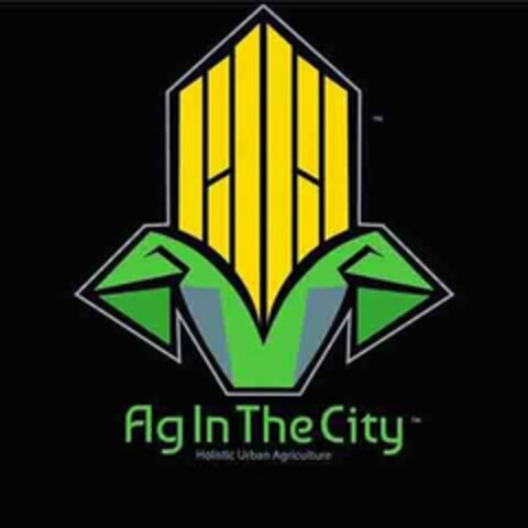 AG IN THE CITY HOLISTIC URBAN AGRICULTURE Logo (USPTO, 17.06.2020)