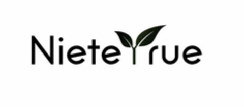 NIETEYRUE Logo (USPTO, 21.08.2020)