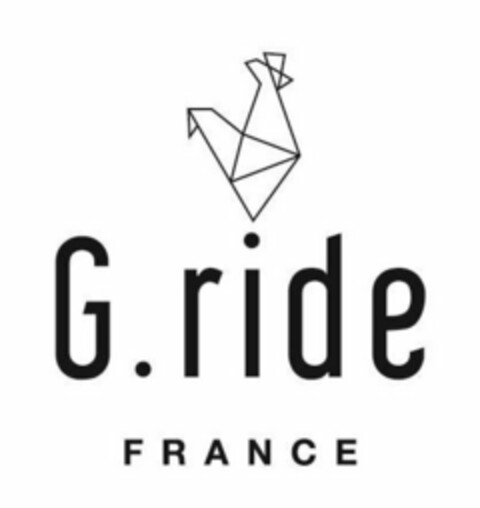 G.RIDE FRANCE Logo (USPTO, 06.01.2017)