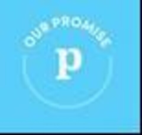 P OUR PROMISE Logo (USPTO, 30.10.2019)