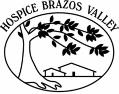 HOSPICE BRAZOS VALLEY Logo (USPTO, 11/05/2009)