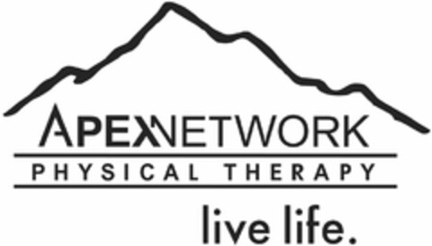 APEXNETWORK PHYSICAL THERAPY LIVE LIFE. Logo (USPTO, 05.01.2011)