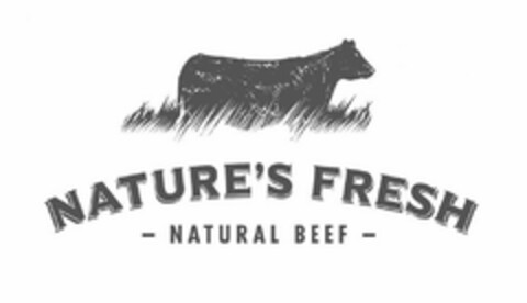 NATURE'S FRESH NATURAL BEEF Logo (USPTO, 03/05/2019)