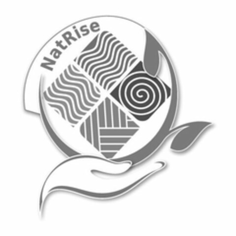 NATRISE Logo (USPTO, 02/11/2020)