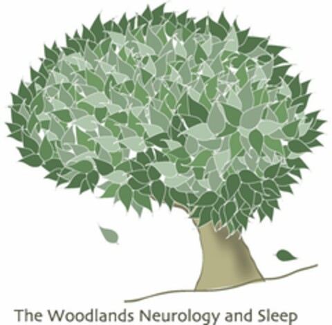 THE WOODLANDS NEUROLOGY AND SLEEP Logo (USPTO, 16.09.2010)