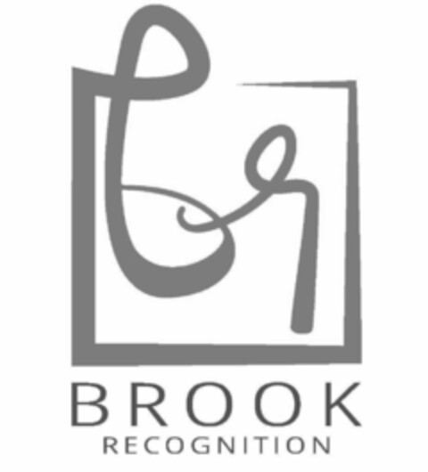 BR BROOK RECOGNITION Logo (USPTO, 29.03.2017)