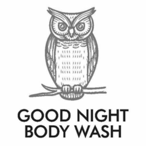 GOOD NIGHT BODY WASH Logo (USPTO, 15.01.2019)