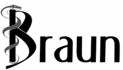 BRAUN Logo (USPTO, 04/29/2019)