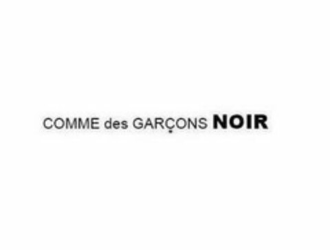 COMME DES GARCONS NOIR Logo (USPTO, 06/11/2019)